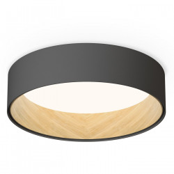 Lubinis LED šviestuvas Duo D47,5 graphite dimeriuojamas