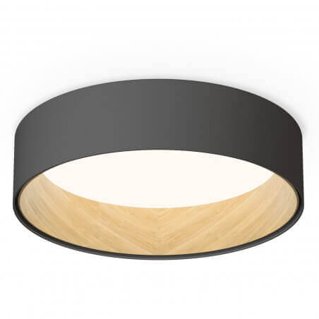 Šviestuvas lubinis Vibia LED Dua D47,5 graphite dimeriuojamas 487018/1A