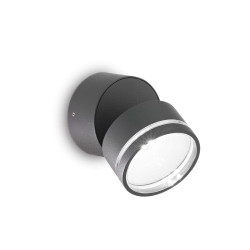 Sieninis šviestuvas OMEGA AP ROUND ANTRACITAS 3000K