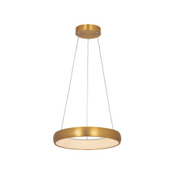 PAKABINAMAS LED ŠVIESTUVAS 2046 D40 BRUSHED AUKSO SPALVOS