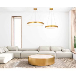 PAKABINAMAS LED ŠVIESTUVAS 2046 D40 BRUSHED AUKSO SPALVOS pigiau
