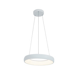 PAKABINAMAS LED ŠVIESTUVAS 2045 D40 BALTAS