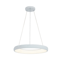 PAKABINAMAS LED ŠVIESTUVAS 2053 D60 BALTAS