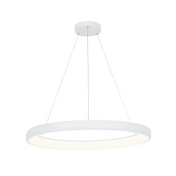PAKABINAMAS LED ŠVIESTUVAS 2061 D80 BALTAS