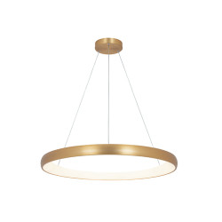 PAKABINAMAS LED ŠVIESTUVAS 2062 D80 BRUSHED AUKSO SPALVOS