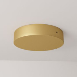 Pagrindas šviestuvui XAMBIT D120 su DALI dimeriuojamu maitinimo šaltiniu Gold