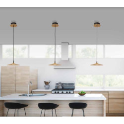 PAKABINAMAS LED ŠVIESTUVAS 19150 NATURAL WOOD pigiau