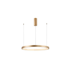 Pakabinamas LED dimeriuojamas šviestuvas ESTELLA D60 40W 3000K TRIAC, AUKSO SPALVOS