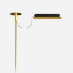 Pagrindas su maitinimo šaltiniu šviestuvui Ambrosia 35W 24V DALI | matt gold kaina