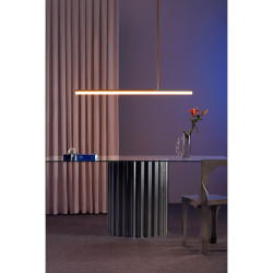 PAKABINAMAS LED šviestuvas AMBROSIA 120 19,2W 3000K AUKSO SPALVOS kaina