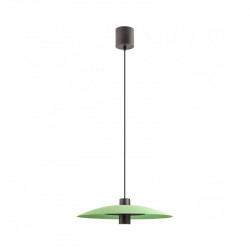 Pakabinamas LED šviestuvas LARS 11W ŽALIAS kaina
