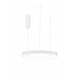 Pakabinamas LED dimeriuojamas šviestuvas DELTA 38W 3000K TUYA, BALTAS kaina
