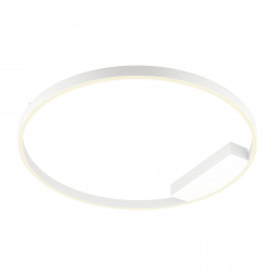 Sieninis | lubinis LED šviestuvas FEBE 50W 3000K D80 direct BALTAS pigiau
