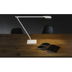 STALINIS LED ŠVIESTUVAS JACKIE 10W BALTAS 5 STEP DIM pigiau
