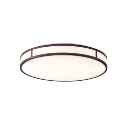 LUBINIS LED ŠVIESTUVAS PIEDRO 40W D40 rudas kaina