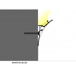 LED PROFILIS SMOOTH12 BC/Q9 PRIGLAISTOMAS, 2M, ALIUMINIS pristatymas
