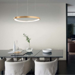 Pakabinamas LED šviestuvas GEMINI SP D81 ŽALVARIO SPALVOS kaina
