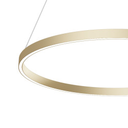 PAKABINAMAS LED ŠVIESTUVAS RIM 1 51W D80 ŽALVARIO SPALVOS kaina