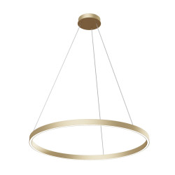 PAKABINAMAS LED ŠVIESTUVAS RIM 1 51W D80 ŽALVARIO SPALVOS pristatymas