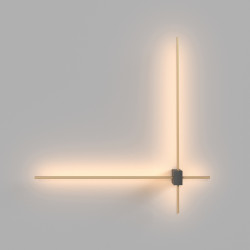 Sieninis LED šviestuvas PARS 2 12W pigiau