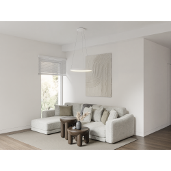 Pakabinamas LED šviestuvas OMEGA D58 48W 3000K BALTAS kaina