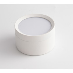 Lubinis led ŠVIESTUVAS HOOP H5 BALTAS pristatymas