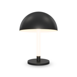 STALINIS LED ŠVIESTUVAS RAY 8W