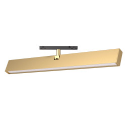 ŠVIESTUVAS XNEO MAGNETINEI SISTEMAI LINEAR 10,8W L30,8 AUKSO SPALVOS