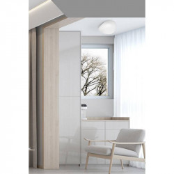 LUBINIS LED ŠVIESTUVAS NEOCHIC 1 L54 19W BALTAS atsiliepimai