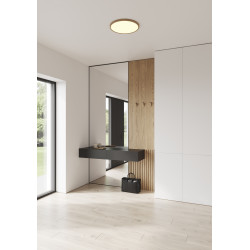 LUBINIS LED ŠVIESTUVAS OJA 42 22W 2700K RUDAS 3 STEP DIM kaina