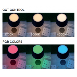 ĮKRAUNAMAS PASTATOMAS LED ŠVIESTUVAS TESEO 10W CCT | RGB ŽALIAS pristatymas