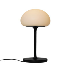 Stalinis įkraunamas LED šviestuvas Sponge 4,8W D20 juodas kaina