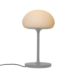 Stalinis įkraunamas LED šviestuvas Sponge 4,8W D20 pilkas kaina
