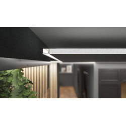 PRIGLAISTOMAS LED PROFILIS PLANE14 SIDE BC3, 2M, ANODUOTAS ALIUMINIS atsiliepimai