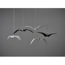 PAKABINAMAS ŠVIESTUVAS NIGHT BIRDS L73 ĮVAIRIŲ SPALVŲ internetu