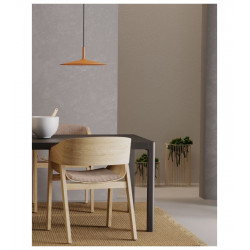 Pakabinamas LED šviestuvas KAI 25W D55 žalias pigiau