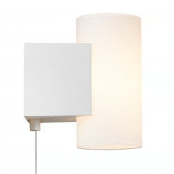 SIENINIS LED ŠVIESTUVAS MONA 10W BALTAS kaina