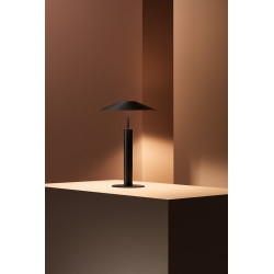 Stalinis LED šviestuvas H 16,3W juodas