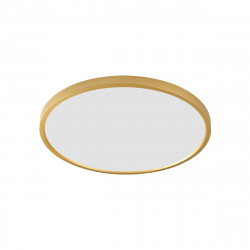 LUBINIS LED ŠVIESTUVAS CAMI D50 42W AUKSO SPALVOS