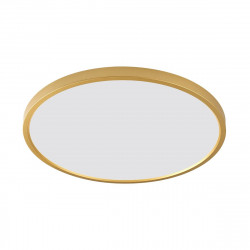 LUBINIS LED ŠVIESTUVAS CAMI D60 48W AUKSO SPALVOS