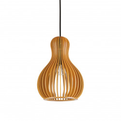 PAKABINAMAS ŠVIESTUVAS CITRUS-3 SP1 rudas
