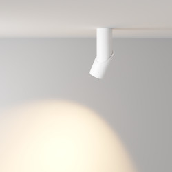 Lubinis led ŠVIESTUVAS DAFNE 10W BALTAS skubiai