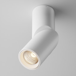 Lubinis led ŠVIESTUVAS DAFNE 10W BALTAS kaina