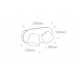 Sieninis LED šviestuvas 65740A/W/W 12W baltas kaina