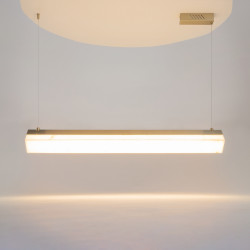PAKABINAMAS LED ŠVIESTUVAS PETRA L100 35W ŽALVARIO SPALVOS kaina