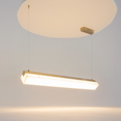 PAKABINAMAS LED ŠVIESTUVAS PETRA L100 35W ŽALVARIO SPALVOS pigiau