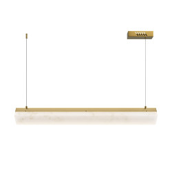 PAKABINAMAS LED ŠVIESTUVAS PETRA L100 35W ŽALVARIO SPALVOS