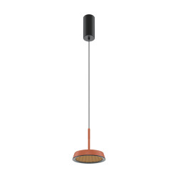 PAKABINAMAS LED ŠVIESTUVAS EL D14,5 12W RUDA