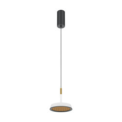 PAKABINAMAS LED ŠVIESTUVAS EL D14,5 12W BALTAS