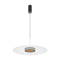 PAKABINAMAS LED ŠVIESTUVAS EL D50 12W BALTAS